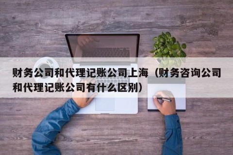 财务公司和代理记账公司上海（财务咨询公司和代理记账公司有什么区别）