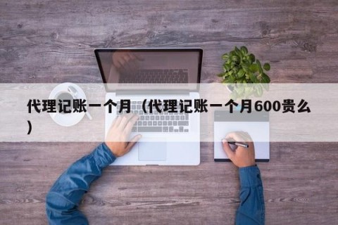 代理记账一个月（代理记账一个月600贵么）