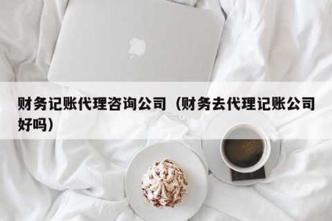 财务记账代理咨询公司（财务去代理记账公司好吗）