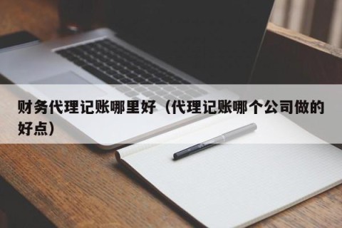 财务代理记账哪里好（代理记账哪个公司做的好点）