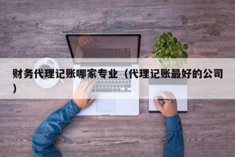 财务代理记账哪家专业（代理记账最好的公司）