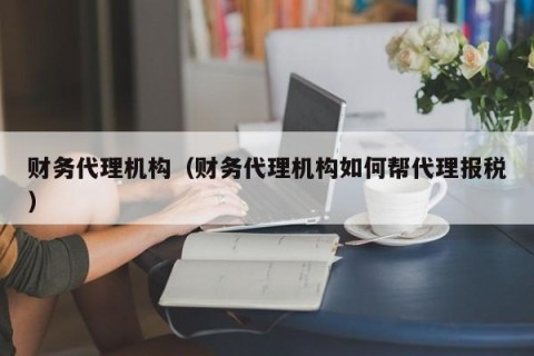 财务代理机构（财务代理机构如何帮代理报税）