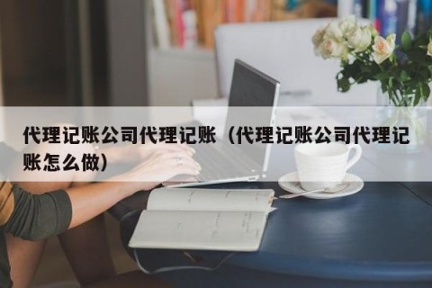 代理记账公司代理记账（代理记账公司代理记账怎么做）