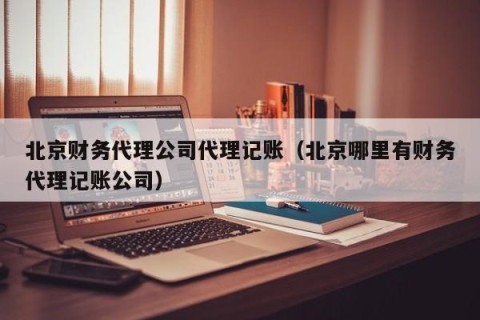 北京财务代理公司代理记账（北京哪里有财务代理记账公司）