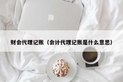 财会代理记账（会计代理记账是什么意思）
