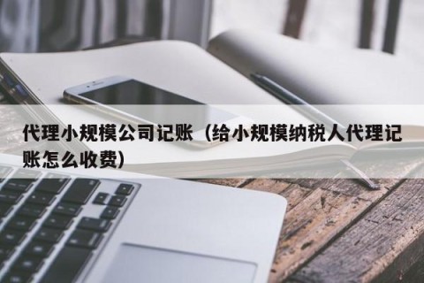 代理小规模公司记账（给小规模纳税人代理记账怎么收费）