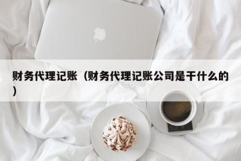 财务代理记账（财务代理记账公司是干什么的）