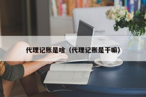 代理记账是啥（代理记账是干嘛）