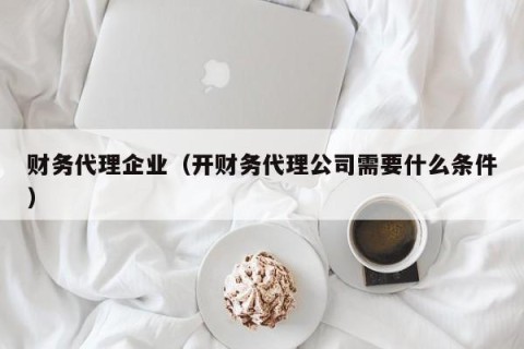 财务代理企业（开财务代理公司需要什么条件）