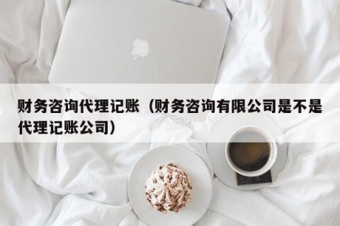 财务咨询代理记账（财务咨询有限公司是不是代理记账公司）