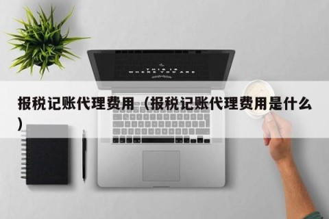 报税记账代理费用（报税记账代理费用是什么）