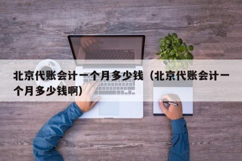 北京代账会计一个月多少钱（北京代账会计一个月多少钱啊）