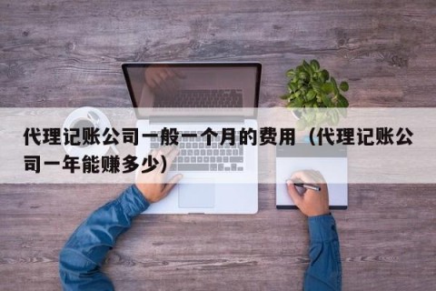 代理记账公司一般一个月的费用（代理记账公司一年能赚多少）