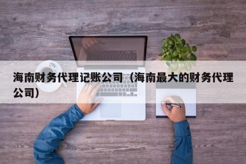 海南财务代理记账公司（海南最大的财务代理公司）