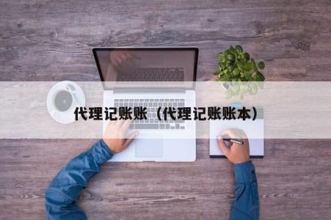 代理记账账（代理记账账本）