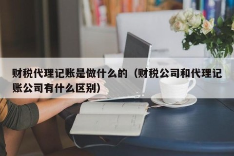 财税代理记账是做什么的（财税公司和代理记账公司有什么区别）