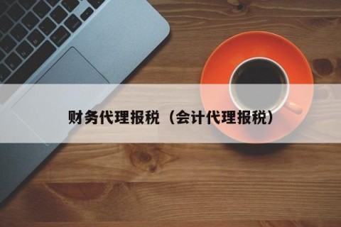 财务代理报税（会计代理报税）