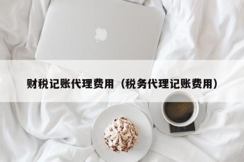 财税记账代理费用（税务代理记账费用）