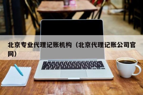 北京专业代理记账机构（北京代理记账公司官网）
