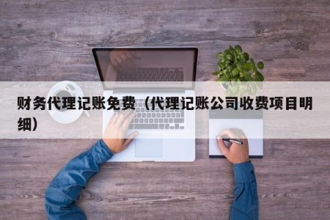 财务代理记账免费（代理记账公司收费项目明细）