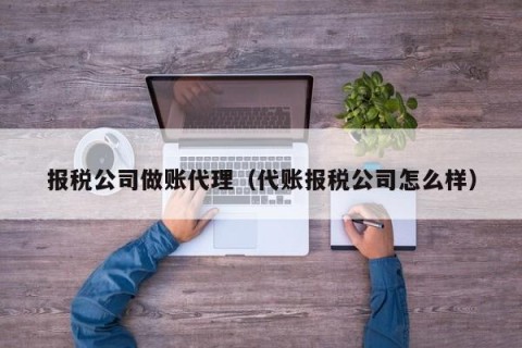 报税公司做账代理（代账报税公司怎么样）